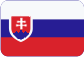 Zvonárstvo Slovensky